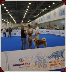 Участие алматинцев на World Dog Show 2016