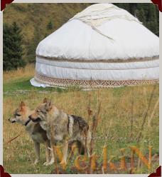 Чехословацкие влчаки в Казахстане