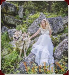 Нестандартные свадебные и семейные фотосессии с волками