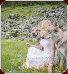 заказ фотосессии с волками в Алматы